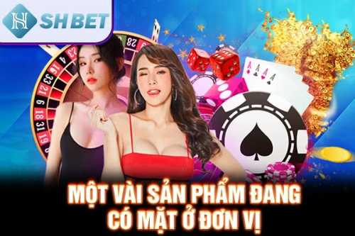 Một vài sản phẩm đang có mặt ở đơn vị 